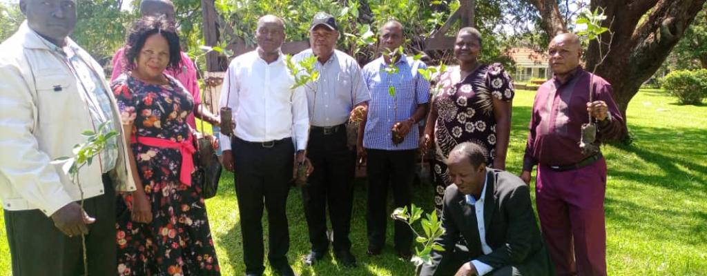 CHAIRPERSON LC V  &quot;SQUATTING&quot; WHILE  RECEIVING ORANGE SEEDLINGS FROM OWC